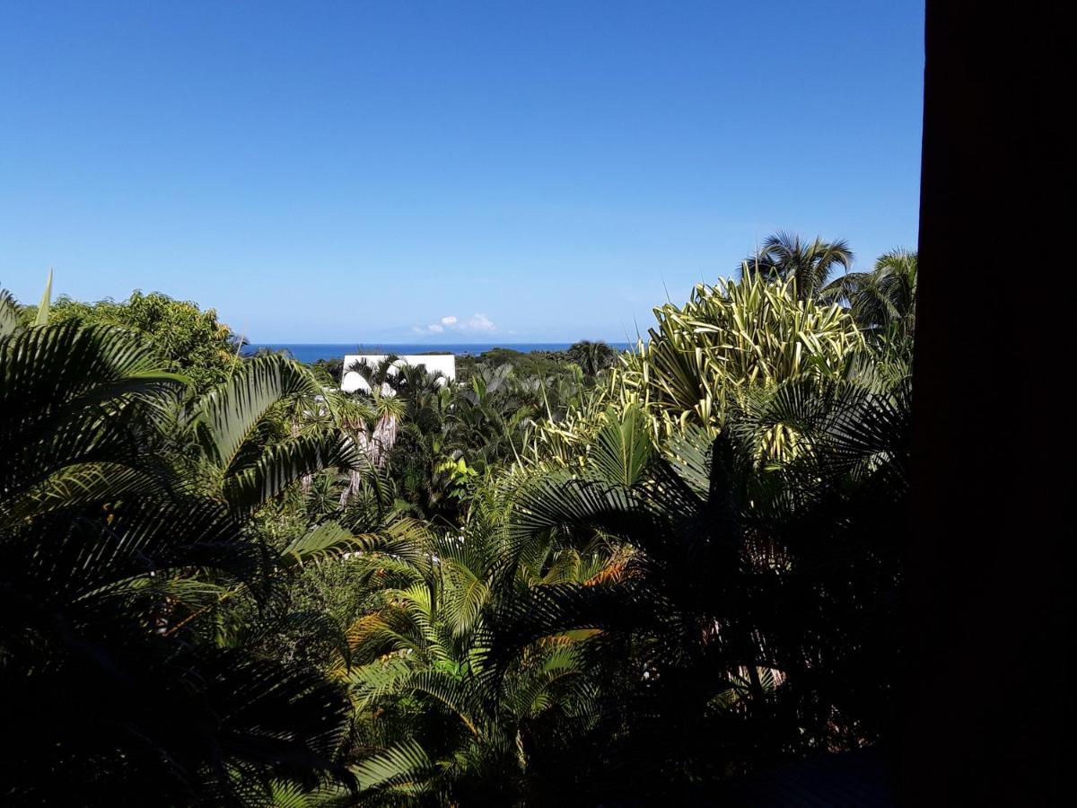 Villa Et Gites Le Safran - Le Triskell Deshaies Exterior foto