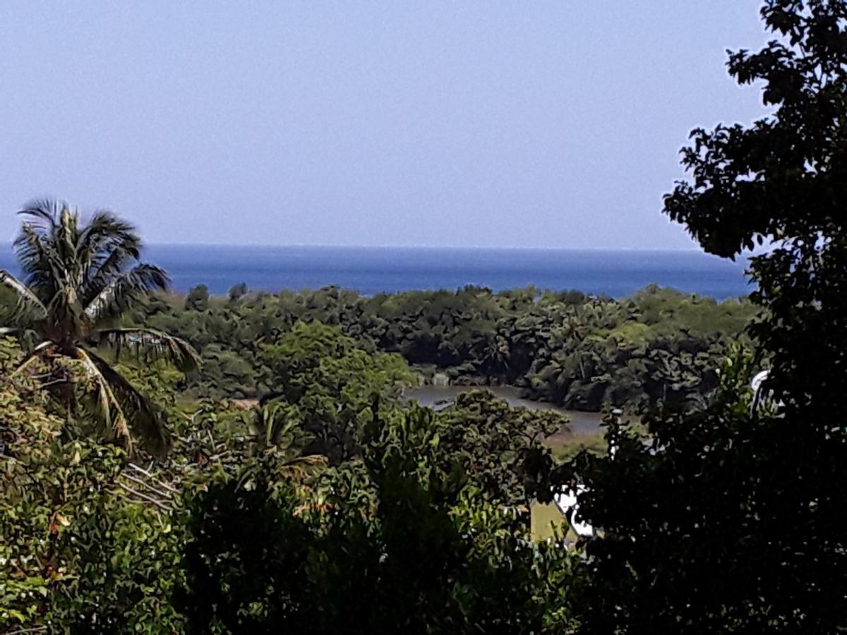 Villa Et Gites Le Safran - Le Triskell Deshaies Exterior foto