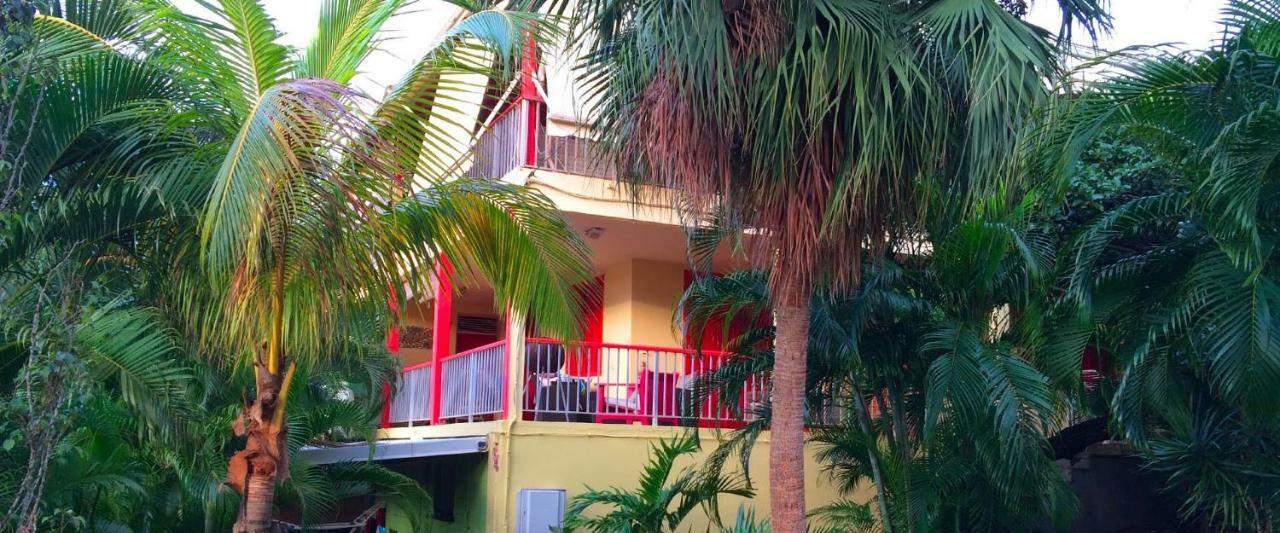 Villa Et Gites Le Safran - Le Triskell Deshaies Exterior foto